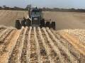 Significant hectares of the winter crop have been planted dry across the country. File photo.